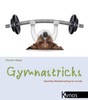 Gymnastricks mit Carmen Heritier